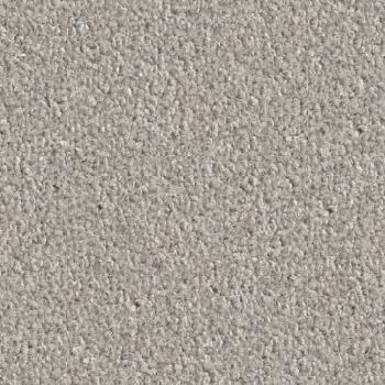 Vorwerk Teppichboden Conzano 5V27 greige – moderner Teppichboden in elegantem Greige, Meterware in 4 oder 5 m Breite, nur 44,95 €